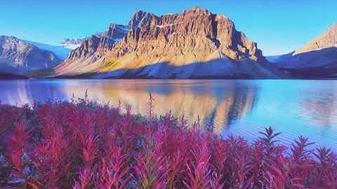 (الْأَخِلَّاءُ يَوْمَئِذٍ بَعْضُهُمْ لِبَعْضٍ عَدُوٌّ إِلَّا الْمُتَّقِينَ) القارئ عبدالرحمن السويد