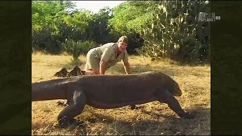 The Crocodile Hunter - Best Of Steve Irwin - Steve...