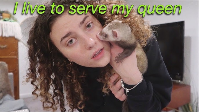 Oson va gayrioddiy jinsiy pozitsiyalar Xotin uysizlarni sikadi