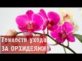 ФАЗЕНДА - 2014.02.02 - Фрагмент 60.