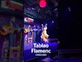 Watch Authentic Flamenco Dancing in Barcelona