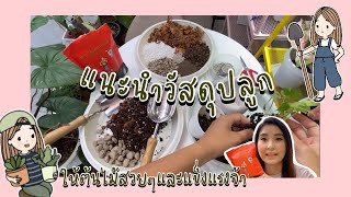 แนะนำวัสดุปลูก ใช้อะไรปลูกต้นไม้ ให้ต้นไม้เขียวและแข็งแรง กับ ปุ๋ยเทพธรณี