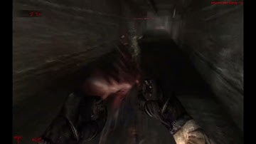 Killing Floor Mod (Version 1.0) but playing on a custom map