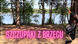 Szczupaki z brzegu! MAJ 2024