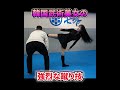 韓国の武術エリート美女の蹴りが達人級　#石井東吾 #格闘技