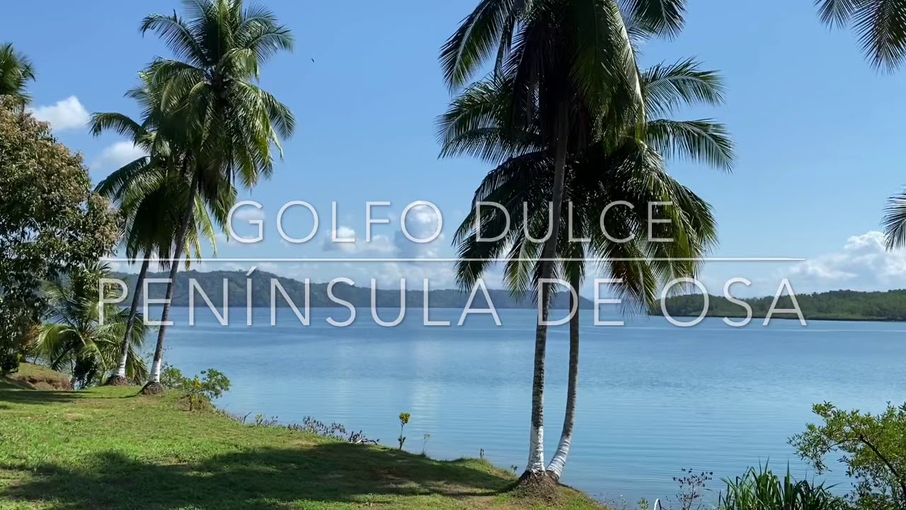 Golfo Dulce Península de Osa