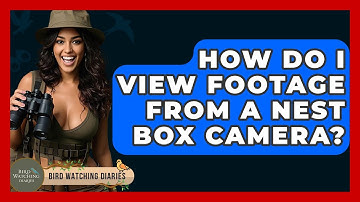 How Do I View Footage From A Nest Box Camera? - Bird Watching Diaries