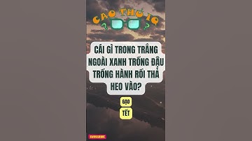 Câu Đố Vui Nhộn 2: Thử Thách Tư Duy Logic Của Bạn p48 | Cao Thủ IQ #funny #dovui #giaitri #haihuoc