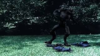 Free Stock Footage Werewolf Transforms