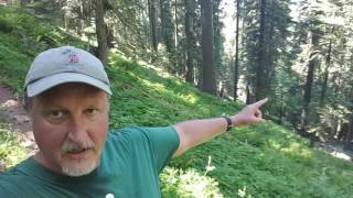 Encounter at the Oregon Caves (PART THREE)