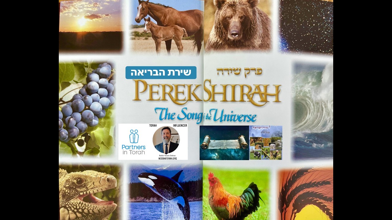 ‎ב״ה ״פרק שירה שירי הבריאה והברואים B”H Kollel Baruch A’Havat Israel PARTNERS IN TORAH: PEREK SHIRAH