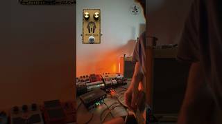 𓋹 The Moon Hums Through Germanium Fuzz 𓋹 #guitarpedals #fuzz #fuzzpedals #fender #jazzmaster