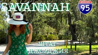 США. Заповедник Окала. Silver Glen Springs. Город Саванна