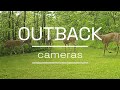 OUTBACK Cameras The Boys Are Back!