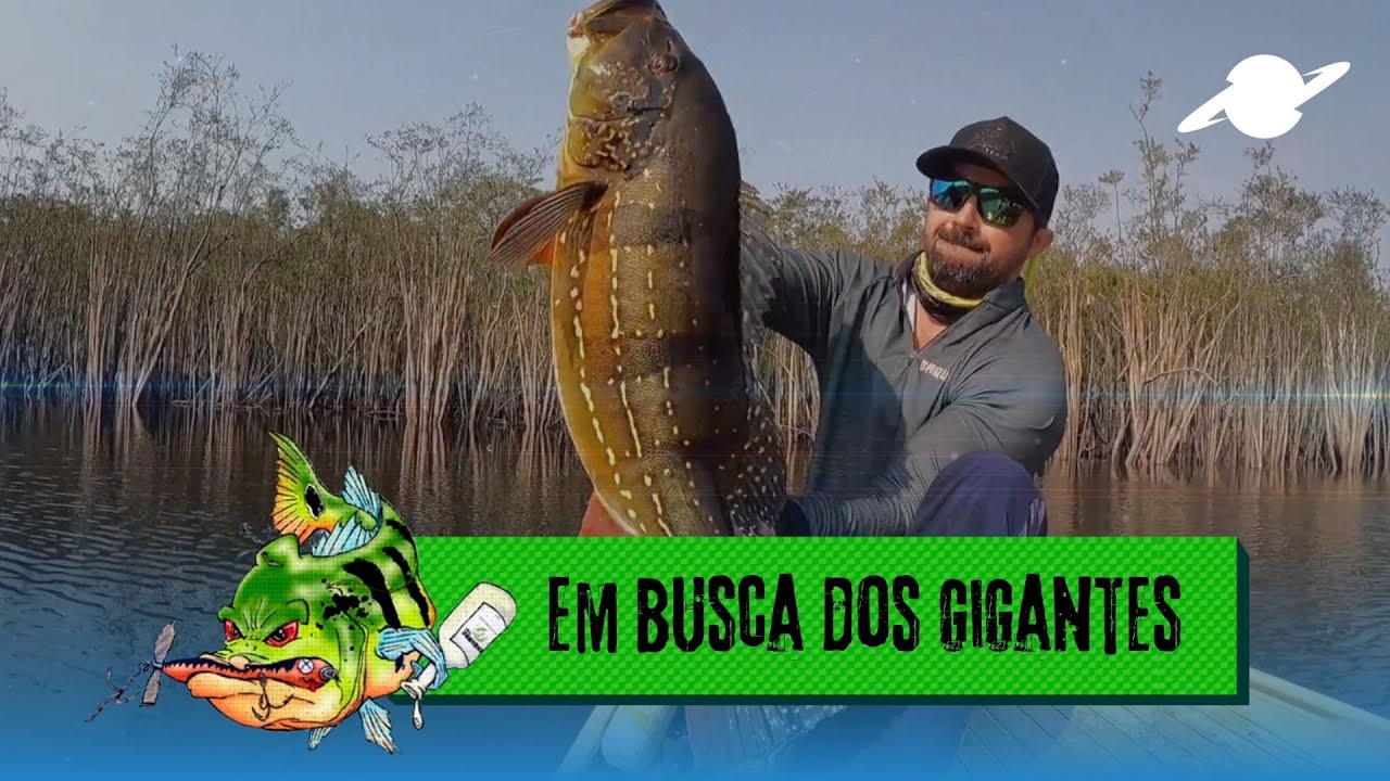 Baquara Team - Em busca dos tucunarés gigantes