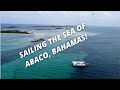 Sailing The Sea Of Abaco, Bahamas!