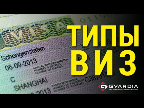 Типы Виз