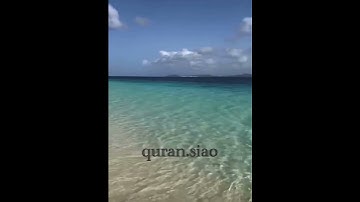 (إِنَّ اللَّهَ وَمَلَائِكَتَهُ يُصَلُّونَ عَلَى النَّبِيِّ ۚ ) القارئ ‏ ‏‏سعيد الخطيب