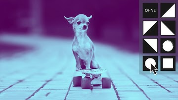 Adobe Photoshop & Premiere Elements 2021