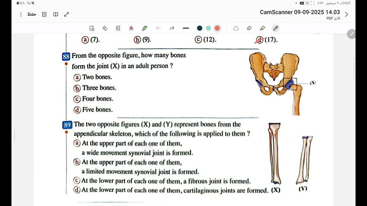 Cartilage, Joints elmoasser ,حل كتاب المعاصر بيولوجي 2026