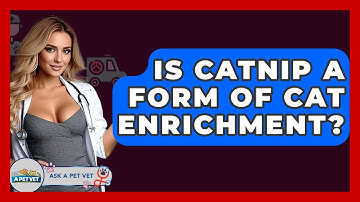 Is Catnip A Form Of Cat Enrichment? - Ask A Pet Vet