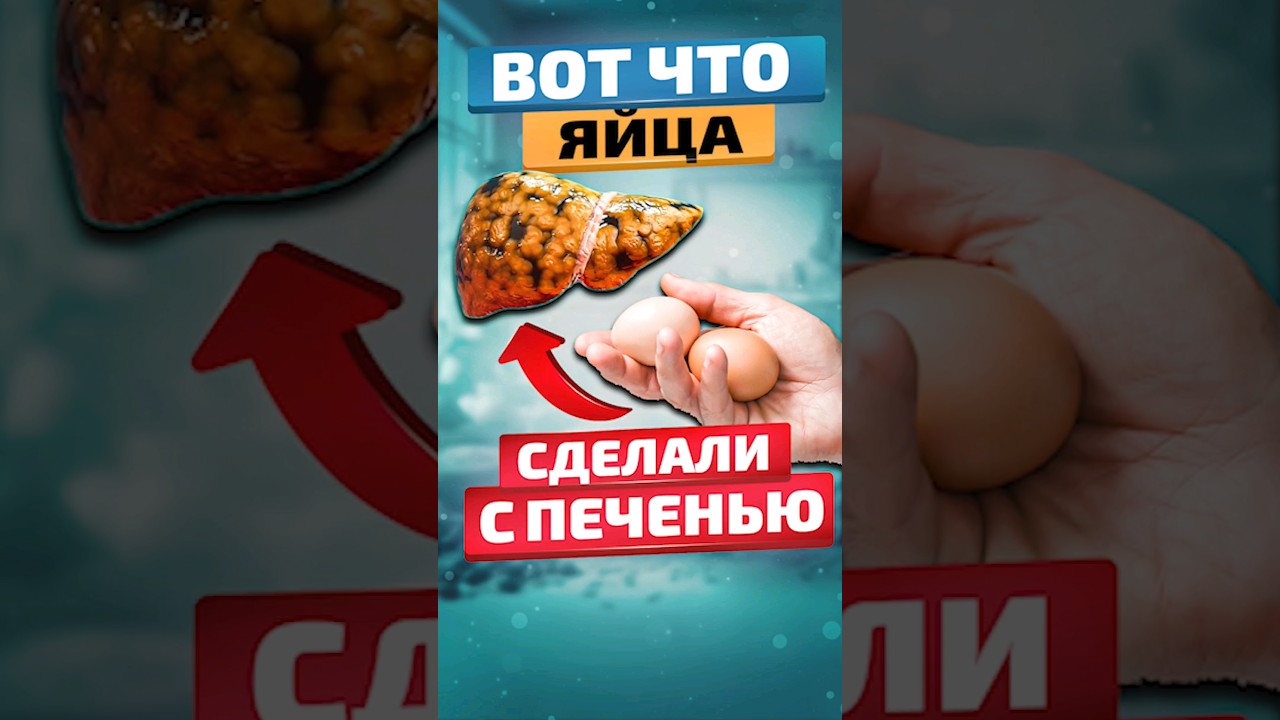 Вот как ЯЙЦА влияют на ПЕЧЕНЬ! #здоровьеидолголетие