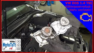 ►VW EOS◄ Wasserpumpe wechseln [Replace Coolant Pump] ◢WERKSTATT-TV◣