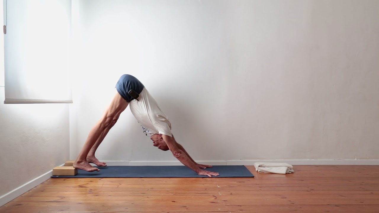 Tip 2: How to Activate the Thighs and Extend the Spine in Adho Mukha Svanasana