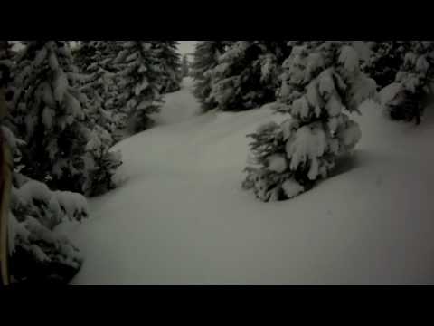 off piste powder run through the woods #1