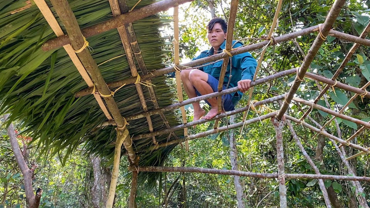 Build shelter  - Replace broken roof with palm leaves | Building New Wild Life Ep 08