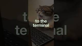 Linux cat command explained #linux  #linuxcommands  #learnlinux  #shorts