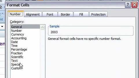 Create a Custom Number Format in Excel 2007