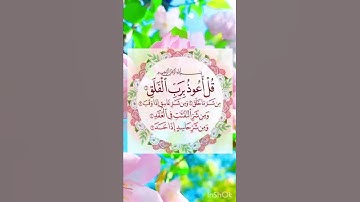 قل أعوذ برب الفلق ⚘سورة الفلق بصوت جميل جدا حالات واتس اب دينية مؤثرة 💕Quran Status 🌷
