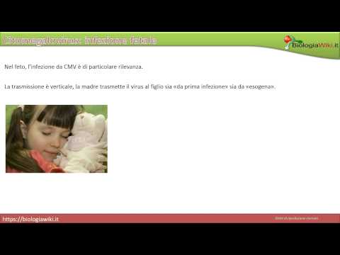 Video: Citomegalovirus: Sintomi, Vie Di Infezione, Trattamento