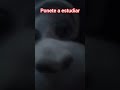 13 de junio de 2026