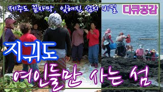 여인들만 사는 섬 지귀도 (다큐 공감)제주도 남단 여인들만 사는 섬이 있다 [추억의 영상] KBS 2013.6.11 방송