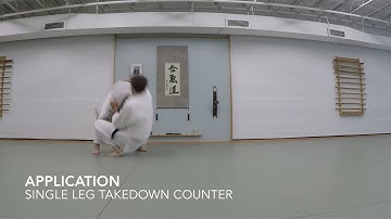 AIKIDO: Ukemi Applications