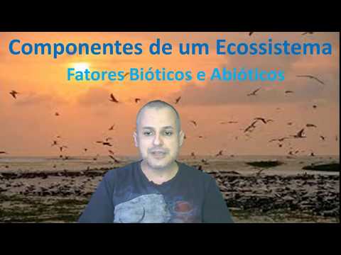 Vídeo: Os rios são abióticos?