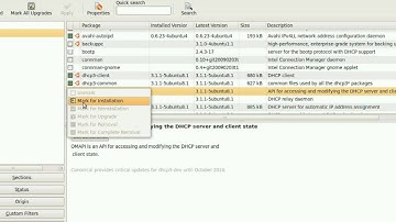 How to use synaptic package manager in Ubuntu