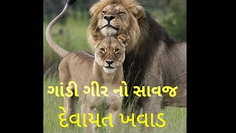 Devayat Khavad Status | Devayat Khavad Savaj Nu Status | Devayat Khavad Attitude Status | New Status