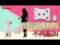 骨頭造型遠端遙控型寵物行為訓練器 product youtube thumbnail