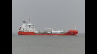 14 BEAUTIFUL SHIPS PASSING CUXHAVEN  4K SHIPSPOTTING MARCH 2024