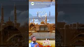 Suno Arz Ya Shahe Madina || Heart Touching Naat Short By Irfan Haidari #shorts