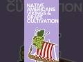 Native Americans, Vikings & Grape Cultivation #shorts
