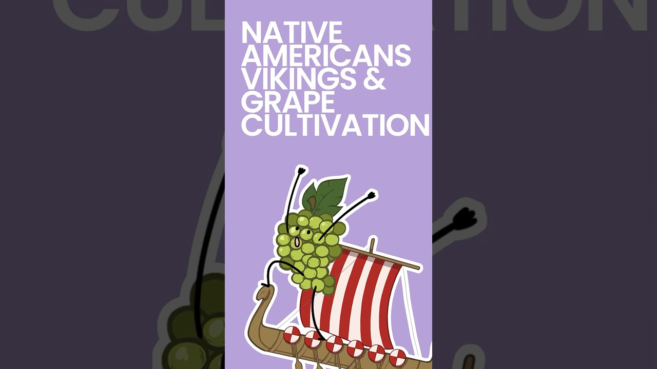 Native Americans, Vikings & Grape Cultivation 