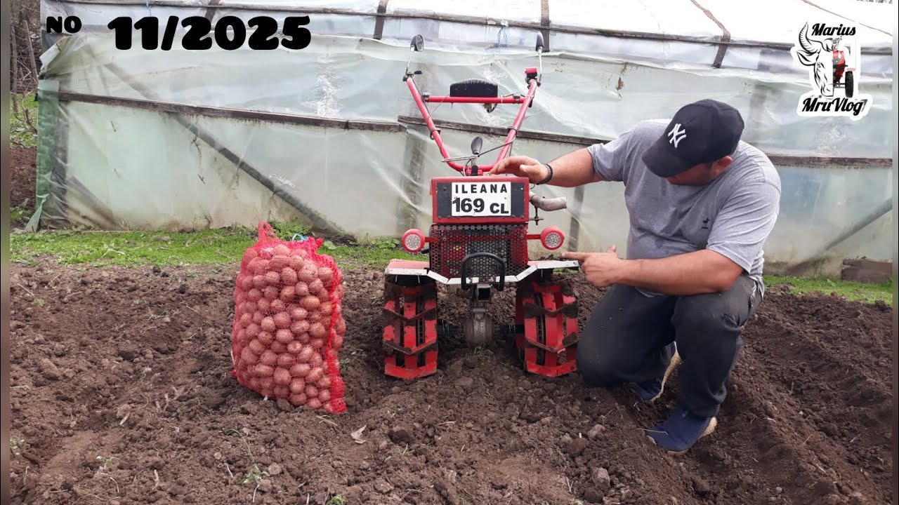 AM PUS CARTOFII CU MOTOSAPA ZIMBRU 6559 7CP (BILOANE+ACOPERIRE)