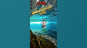 سورة اخلاص والفلق والناس.بصوت الشيخ هشام الهراز