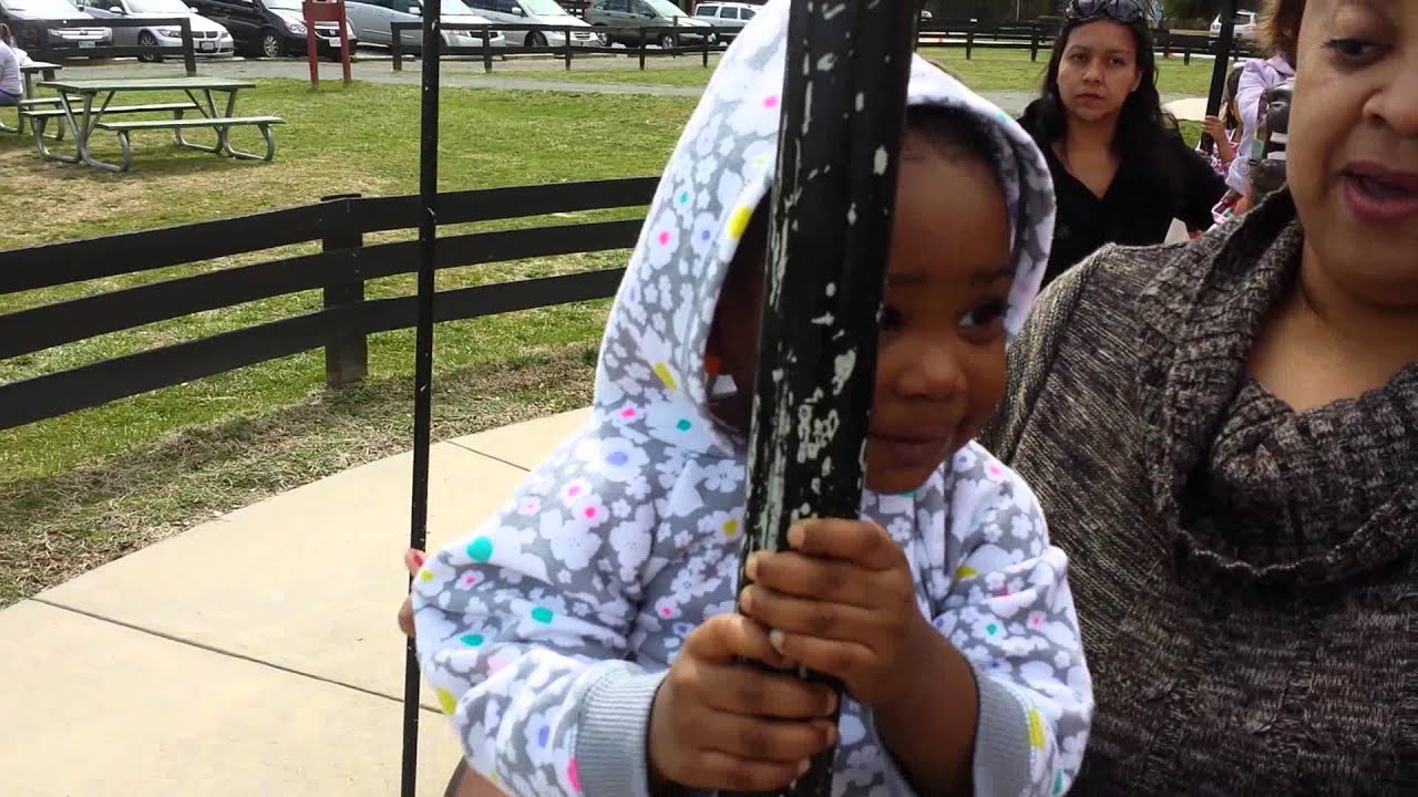 Frying Pan Farm Park carousel ride YouTube