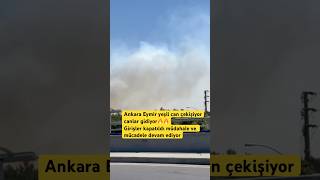 Her Yerden Yangın Haberleri Geliyorın Im Im