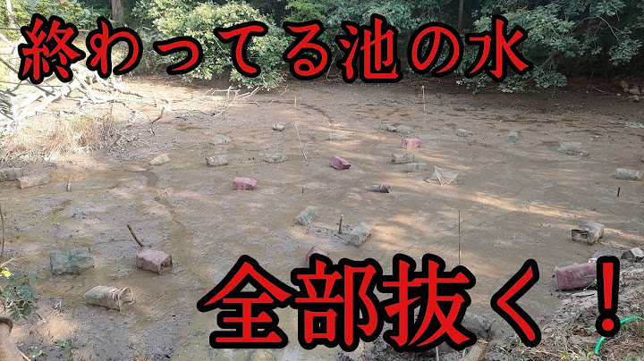 終わってる池を再生する➉池の水、全部抜く！！
